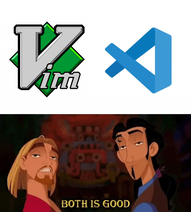 Neovim + Vscode