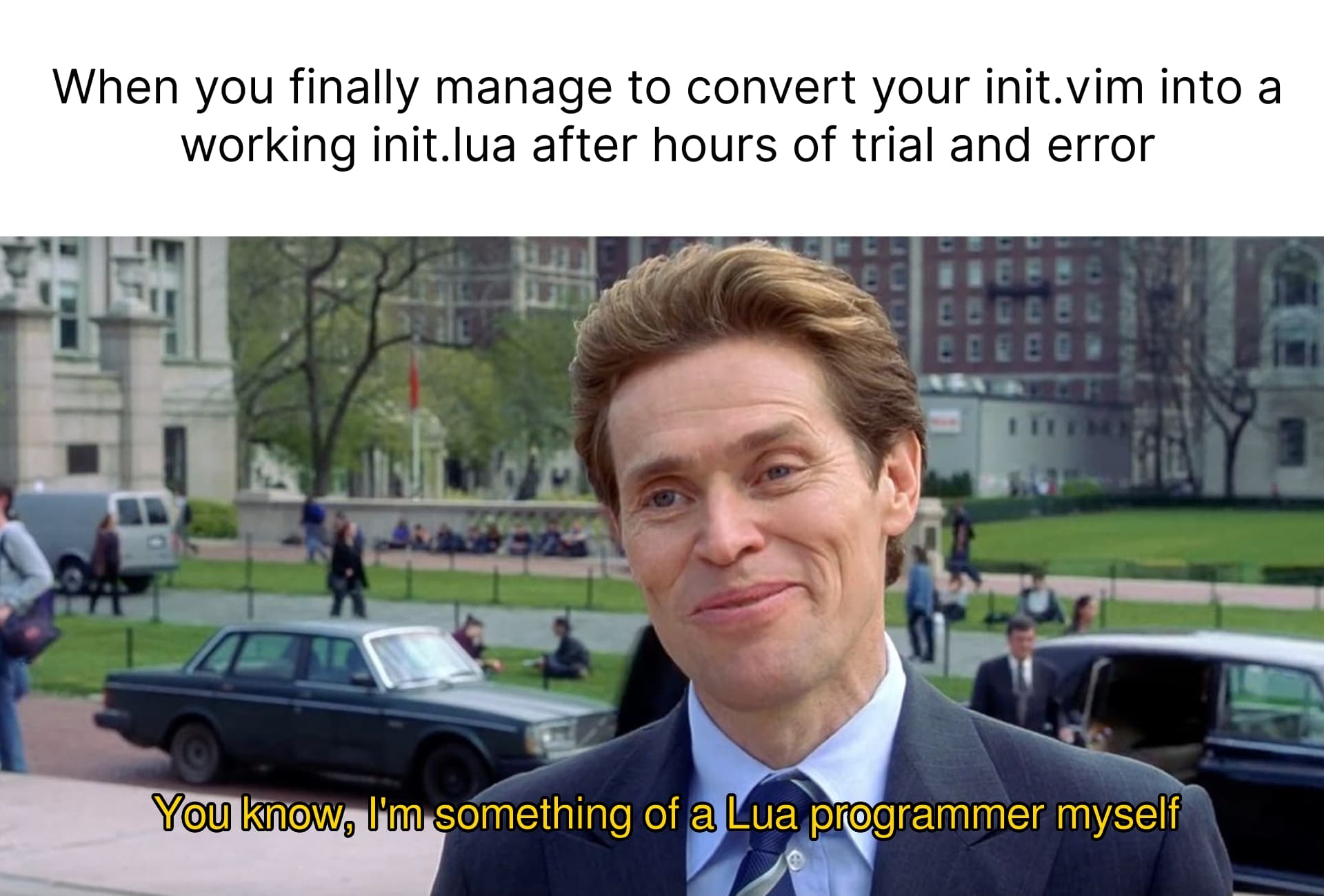 Neovim Configuration Meme